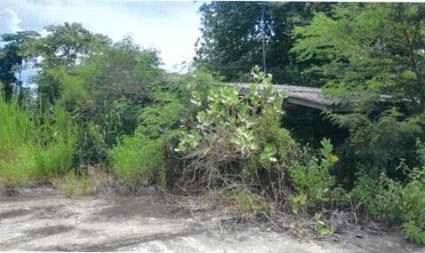 💟 โรงงาน กาญจนบุรี 💟 รูปที่ 4