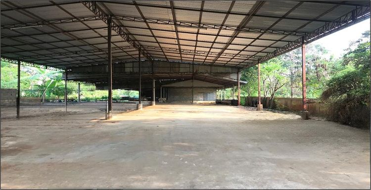 ð āđāļĢāļāļāļēāļ āļĄāļąāļāļāļēāļāļĩāļĢāļĩ āļāļāļāđāļāđāļ ð āļĢāļđāļāļāļĩāđ 3