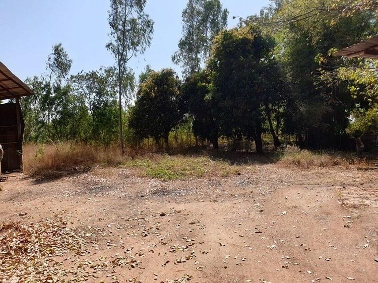 ð āļāļĩāđāļāļīāļāļāļĢāđāļāļĄāļŠāļīāđāļāļāļĨāļđāļāļŠāļĢāđāļēāļ āđāļāļĢāļāļāļēāļĢāļāđāļēāļāļāļģāđāļŪ āļāļēāļŽāļŠāļīāļāļāļļāđ ð āļĢāļđāļāļāļĩāđ 4