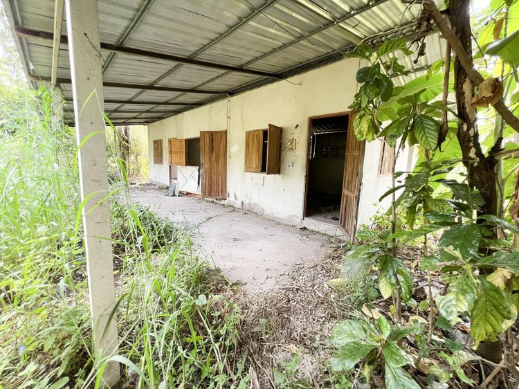 ð āđāļĢāļāļāļēāļ āļāļąāļĒāļāļēāļ ð āļĢāļđāļāļāļĩāđ 3