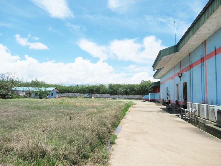 ð āđāļĢāļāļāļēāļ āđāļĄāļ·āļāļāļĨāļģāļāļēāļ ð āļĢāļđāļāļāļĩāđ 3