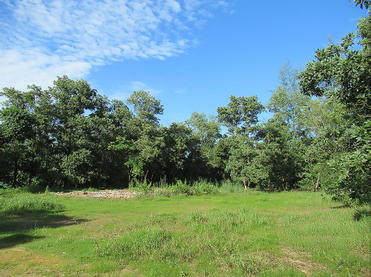 💟 ที่ดินเปล่า ตะกั่วป่า 💟 รูปที่ 4