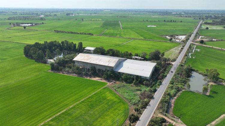 💟 โรงงาน ชุมแสง 💟 รูปที่ 4