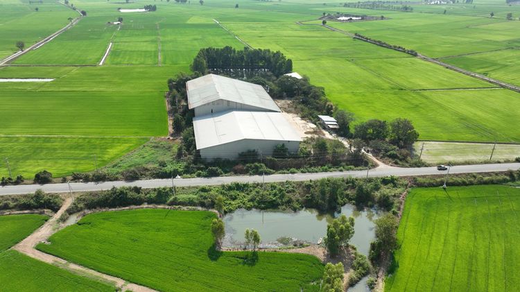 💟 โรงงาน ชุมแสง 💟