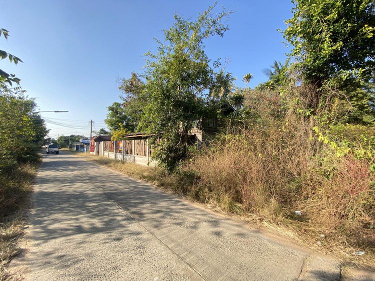 ð āđāļĢāļāļāļēāļ āđāļĄāļ·āļāļāļāļļāļāļĨāļĢāļēāļāļāļēāļāļĩ ð āļĢāļđāļāļāļĩāđ 3