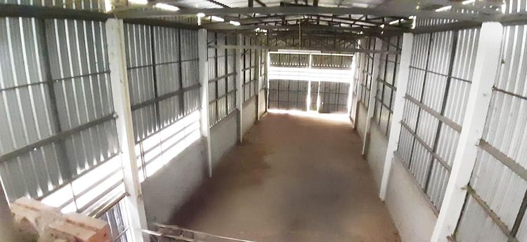 💟 โรงงาน ห้วยซ้อ เชียงราย 💟 รูปที่ 4