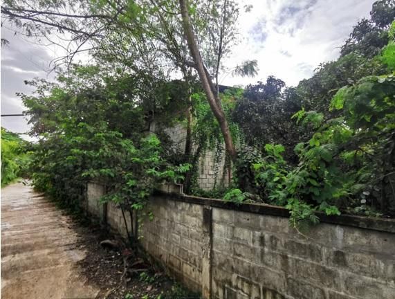 💟 โรงงาน ฮอด 💟 รูปที่ 2