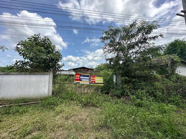 💟 โรงงาน ฮอด 💟