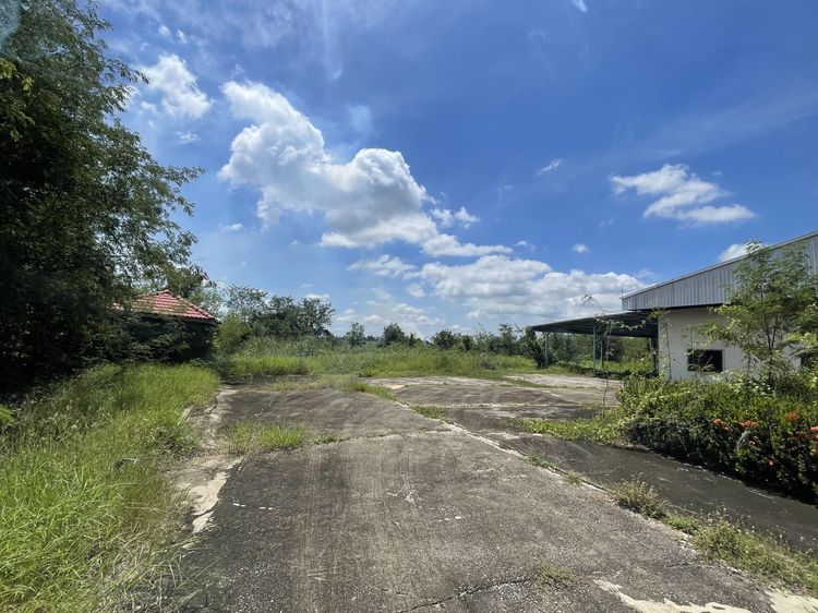 ð āđāļĢāļāļāļēāļāļāļĢāđāļāļĄāļāļĩāđāļāļīāļ āļāļģāļāļ§āļ 5 āļĢāļēāļĒāļāļēāļĢ āļāļīāļāļīāļāļĢ ð āļĢāļđāļāļāļĩāđ 2