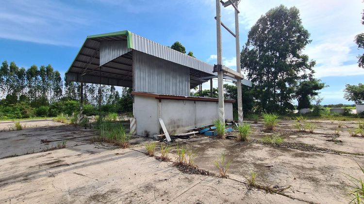 ð āđāļĢāļāļāļēāļ āđāļāļĐāļāļĢāļ§āļīāļŠāļąāļĒ ð āļĢāļđāļāļāļĩāđ 3