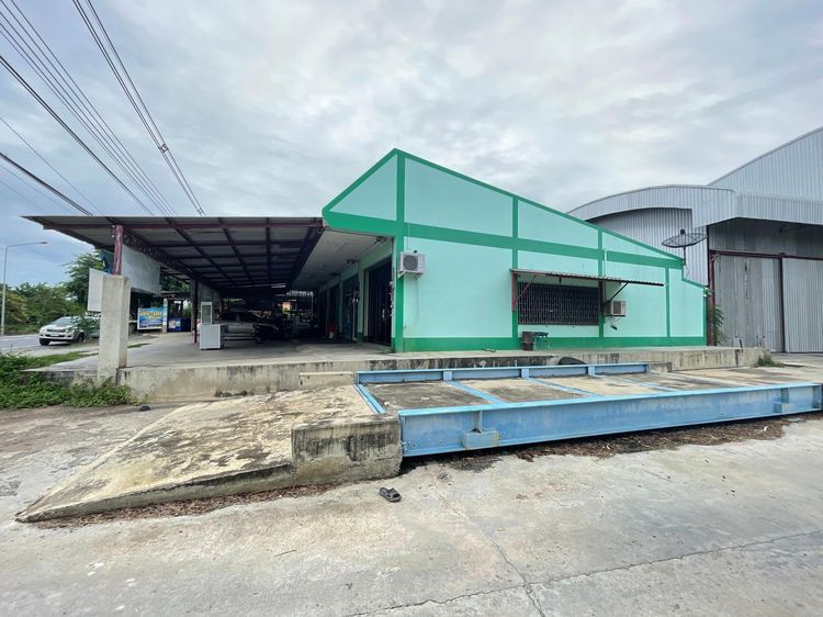 ð āđāļĢāļāļāļēāļ āļŠāļēāļĄāļāļļāļ ð āļĢāļđāļāļāļĩāđ 3