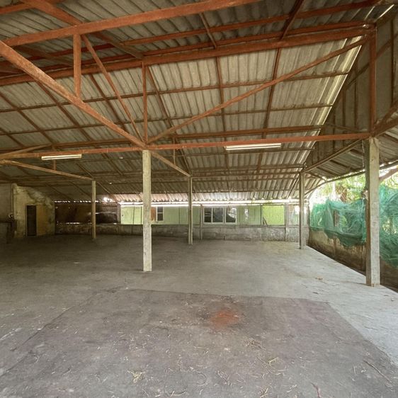 ð āđāļĢāļāļāļēāļ āļāļāļĒāļŠāļ°āđāļāđāļ ð āļĢāļđāļāļāļĩāđ 3