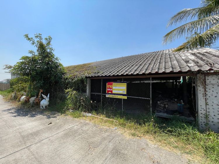 💟 โรงงาน ดอยสะเก็ด 💟