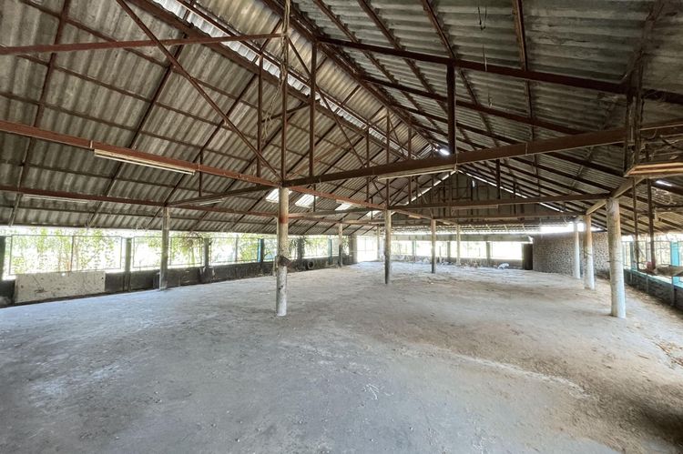 💟 โรงงาน ดอยสะเก็ด 💟 รูปที่ 4