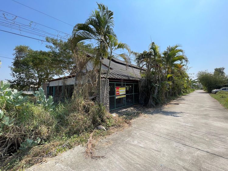 ð āđāļĢāļāļāļēāļ āļāļāļĒāļŠāļ°āđāļāđāļ ð āļĢāļđāļāļāļĩāđ 2