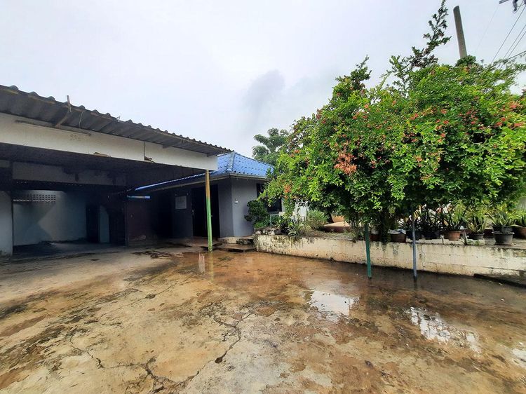 💟 โรงงาน ไทรน้อย นนทบุรี 💟 รูปที่ 4