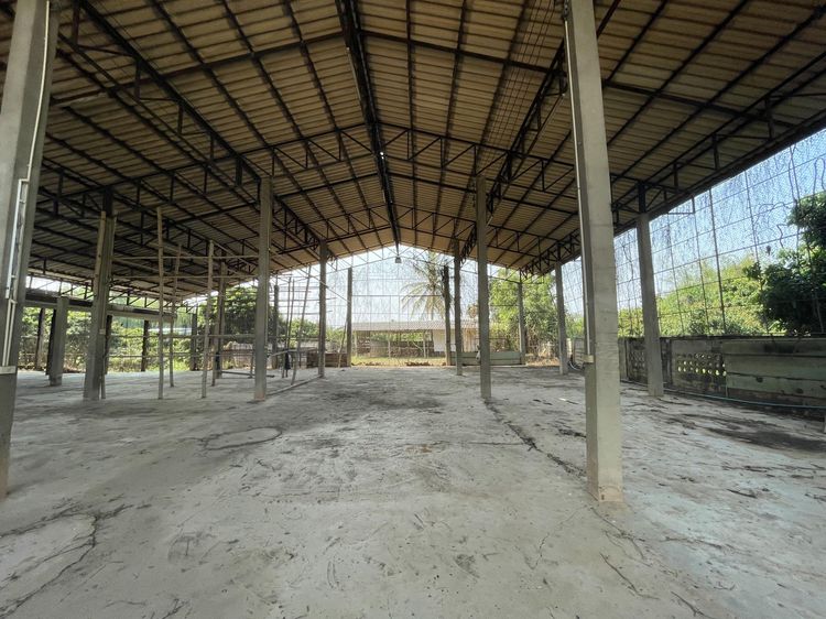 ð āđāļĢāļāļāļēāļ āđāļĄāļ·āļāļāļĨāļģāļāļđāļ ð āļĢāļđāļāļāļĩāđ 3