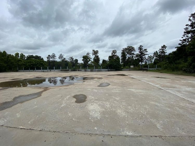 💟 โรงงาน ศรีเมืองใหม่ 💟 รูปที่ 4