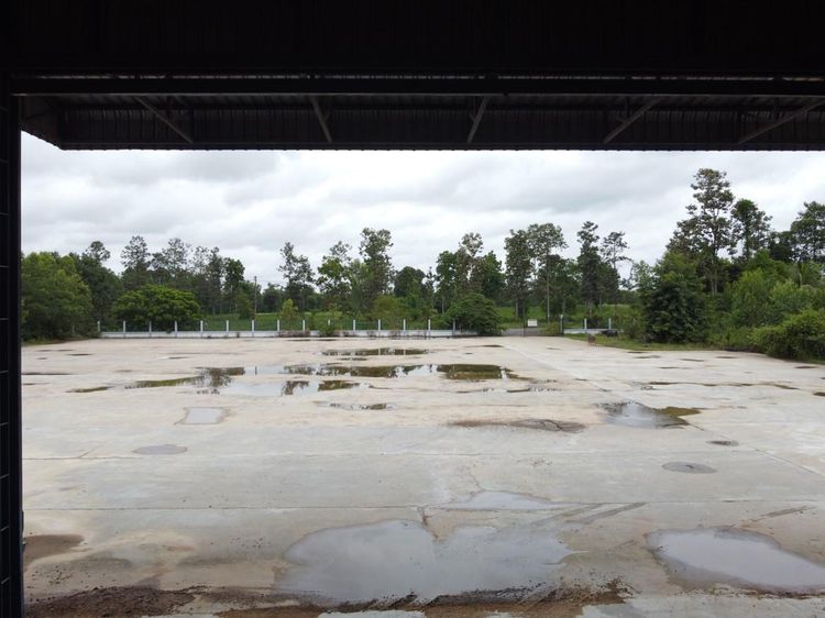 ð āđāļĢāļāļāļēāļ āļĻāļĢāļĩāđāļĄāļ·āļāļāđāļŦāļĄāđ ð āļĢāļđāļāļāļĩāđ 3