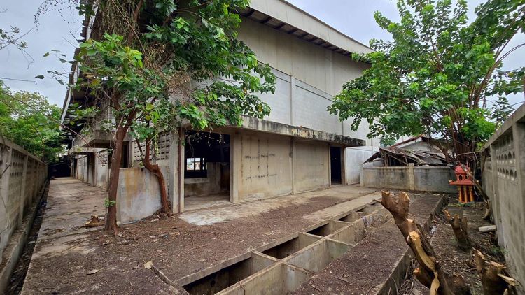 💟 โรงงาน ดอนตูม 💟 รูปที่ 3