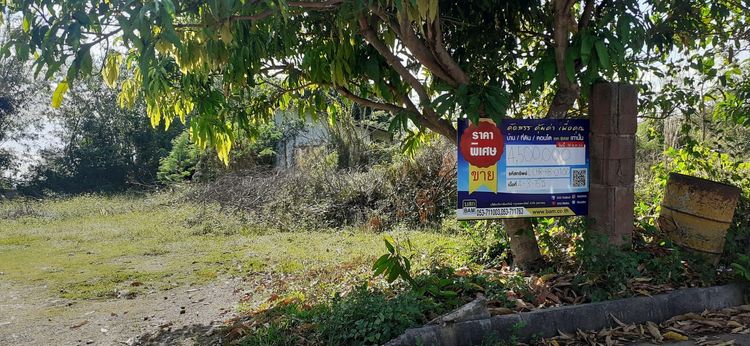 💟 โรงแรมและรีสอร์ท ซอยหมู่บ้านพีพี เชียงราย 💟