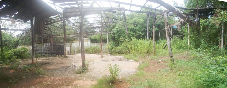 💟 อาคารพาณิชย์ เมืองสระแก้ว 💟 รูปที่ 4