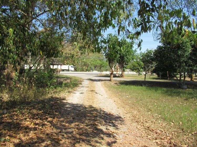 💟 อาคารพาณิชย์ แม่จัน เชียงราย 💟 รูปที่ 4