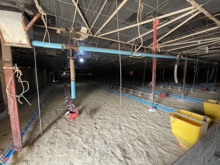 💟 ฟาร์มเลี้ยงไก่ พร้อมสิ่งปลูกสร้างบ้านพัก 💟 รูปที่ 3