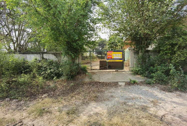 💟 ที่ดินเปล่าพร้อมสิ่งปลูกสร้าง สามชุก สุพรรณบุรี 💟