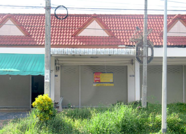 💟 อาคารพาณิชย์ สุราษฎร์ธานี 💟 รูปที่ 2