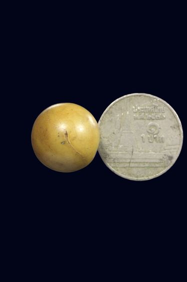 ลูกอมสีเหลืองไม่รู้ที่ รูปที่ 3