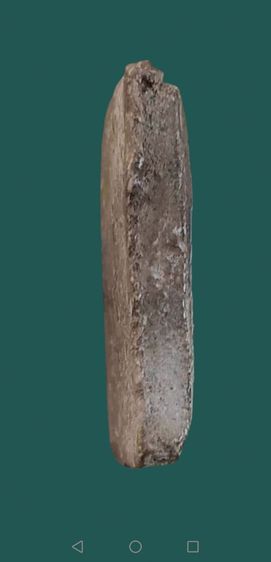 พระปิลีนทร์​ พิมพ์โมคคัลลาสารีบุตร​ วัดระฆังโฆษิตตาราม รูปที่ 10