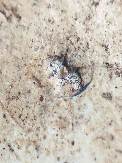 เกศไชโย ๗ ชั้น,พิมพ์นิยม. รูปที่ 16