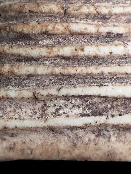 เกศไชโย ๗ ชั้น,พิมพ์นิยม. รูปที่ 9