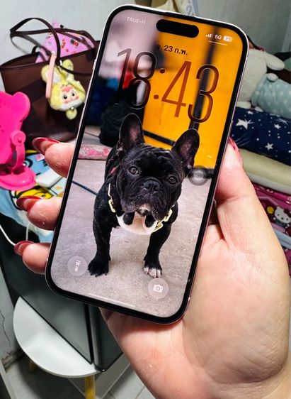 ไอโฟน 15 128gb รูปที่ 3