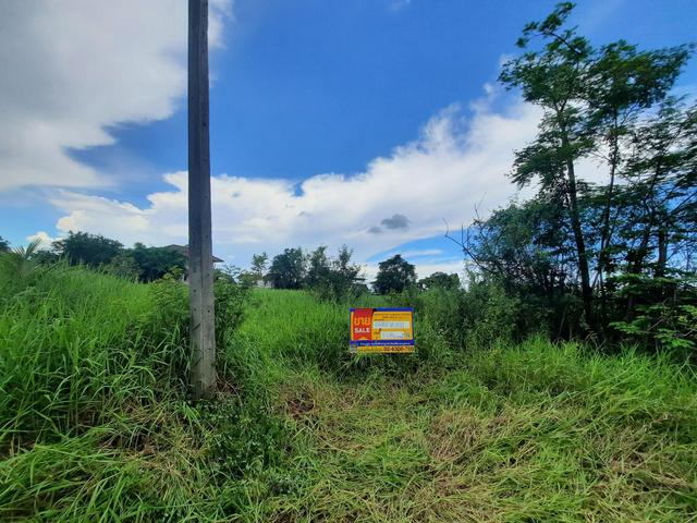 💟 ที่ดินเปล่า โครงการฉลองกรุงริเวอร์วิลล์ รีสอร์ท หนองจอก 💟