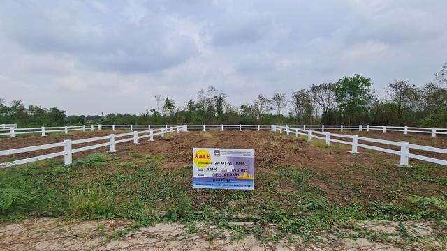 ใช่ 💟 ที่ดินเปล่า โครงการอยุธยาวังทอง 💟 รูปที่ 2