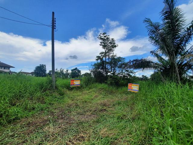 💟 ที่ดินเปล่า โครงการฉลองกรุงริเวอร์วิลล์ รีสอร์ท หนองจอก 💟 รูปที่ 3