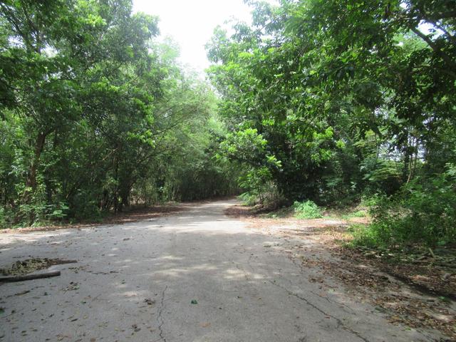 ใช่ 💟 ที่ดินเปล่า โครงการสนามกอล์ฟไดนาสตี้ นครปฐม(บางเลน-ไผ่หูช้าง) นครปฐม 💟 รูปที่ 4