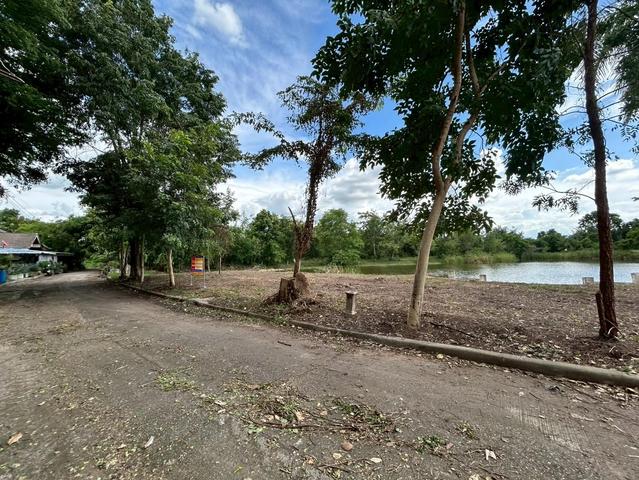 ใช่ 💟 ที่ดินเปล่า โครงการอิงธาร นครราชสีมา 💟 รูปที่ 4