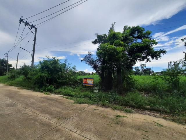 💟 ที่ดินเปล่า โครงการฉลองกรุงริเวอร์วิลล์ รีสอร์ท หนองจอก 💟 รูปที่ 3