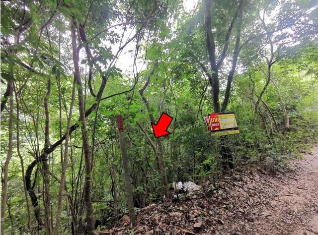 ใช่ 💟 ที่ดินเปล่า เชียงใหม่ 💟 รูปที่ 3