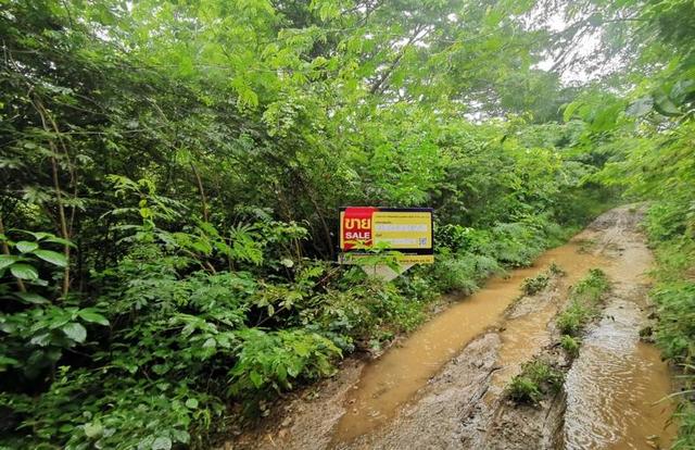 💟 ที่ดินเปล่า เชียงใหม่ 💟