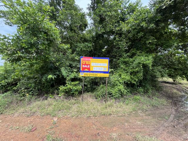 ใช่ 💟 ที่ดินเปล่า โครงการปลาทิว ราชบุรี 💟