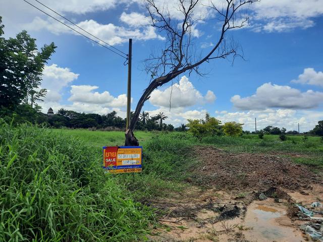 💟 ที่ดินเปล่า โครงการฉลองกรุงริเวอร์วิลล์ รีสอร์ท หนองจอก 💟