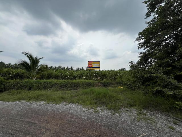 ใช่ 💟 ที่ดินเปล่า โครงการปลาทิว ราชบุรี 💟 รูปที่ 3