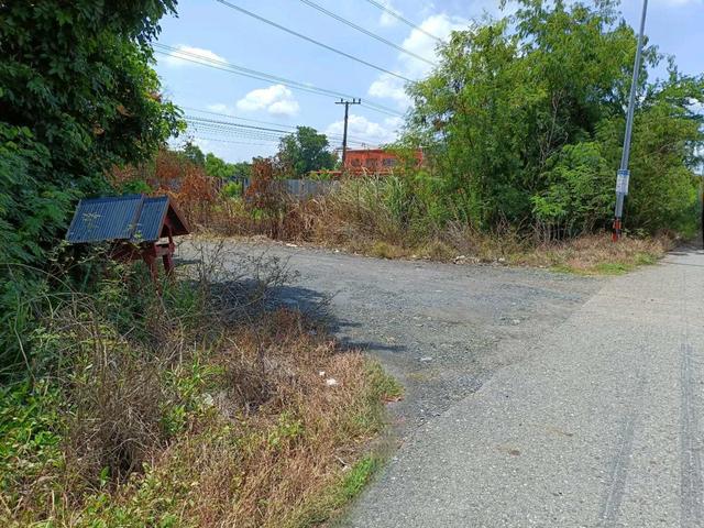 ใช่ 💟 ที่ดินเปล่า แปลงยาว ฉะเชิงเทรา 💟 รูปที่ 4