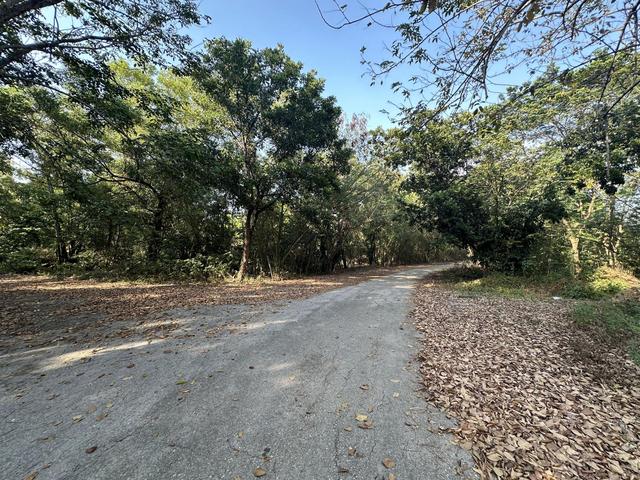 💟 ที่ดินเปล่า โครงการสนามกอล์ฟไดนาสตี้ นครปฐม(บางเลน-ไผ่หูช้าง) 💟 รูปที่ 4