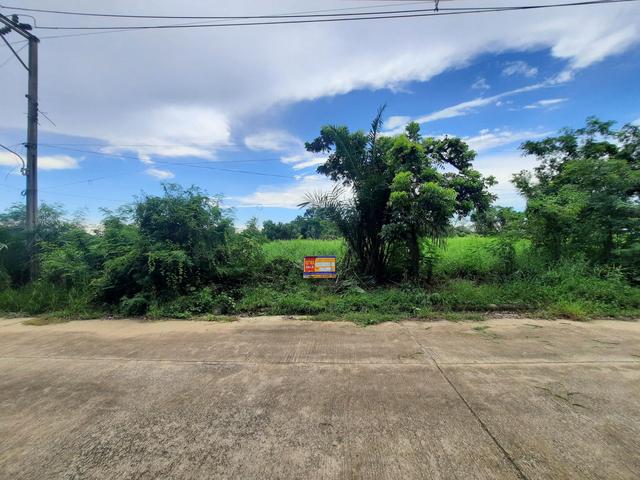 💟 ที่ดินเปล่า โครงการฉลองกรุงริเวอร์วิลล์ รีสอร์ท หนองจอก 💟