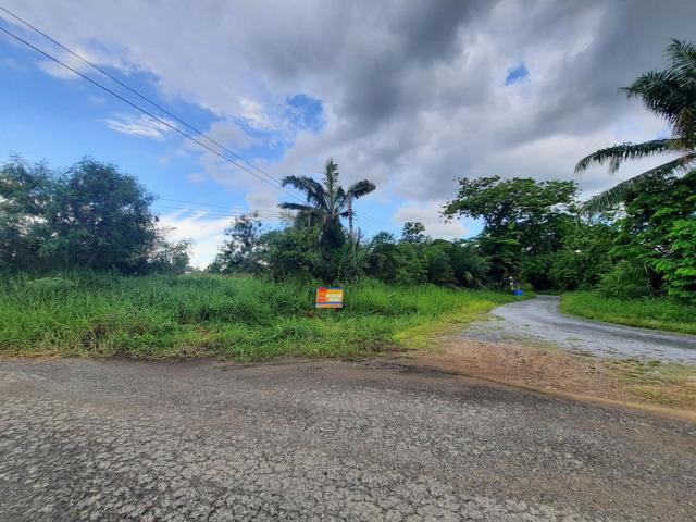 💟 ที่ดินเปล่า โครงการฉลองกรุงริเวอร์วิลล์ รีสอร์ท หนองจอก 💟 รูปที่ 4